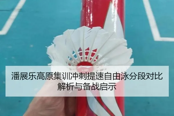 潘展乐高原集训冲刺提速自由泳分段对比解析与备战启示